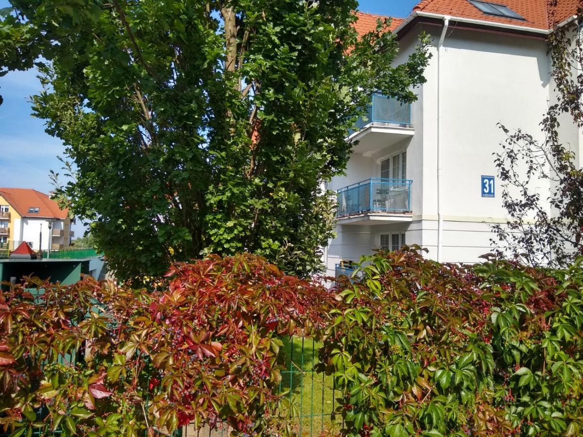 Green Apartment Z Bezplatnym Parkingiem Allenstein Exterior foto
